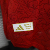 25/26 ARS Home Player Version  Long Sleeve Soccer Jersey（长袖）