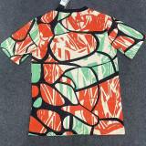 24/25 ARS Orange Blue Fans Training shirts