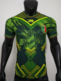 25/26 Mali Away Player Version Soccer Jersey