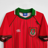1994/1996  Wales  Home Retro Soccer Jersey