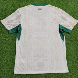 25/26 Senegal Home Player Version Soccer Jersey