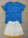 25/26 Wolves Third Kids Soccer Jersey