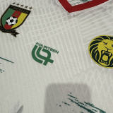 25/26 Cameroon Third  Player Version Soccer Jersey