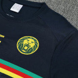 25/26  Cameroon Dark Blue Training Short Suit