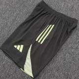 25/26  RMA Light Green Player Version Training Short Suit
