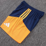 25/26 AD Royal Blue Player Version Training Short Suit#D2505