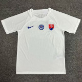 2024 Slovakia Away  Fans Soccer Jersey