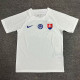 2024 Slovakia Away  Fans Soccer Jersey