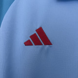 25/26  Flamengo Sky Blue  Polo Training shirts