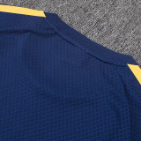 25/26 AD Royal Blue Player Version Training Short Suit#D2505