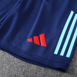 25/26 Flamengo Royal Blue Tank top and shorts suit