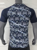 25/26 Austria Training shirts
