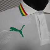 24/25 Senegal White Special Edition Player Version Soccer Jersey（带一星）