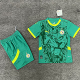 24/25 Senegal Away  Kids Soccer Jersey