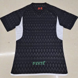 23/24  Algeria  Black  Player Version Soccer Jersey(A14）