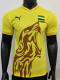 26/27 Gabonese Republic Home Player Version Soccer Jersey