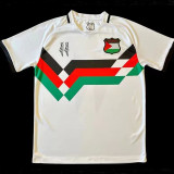 24/25 Palestine Retro Tri Color Fans Soccer Jersey