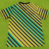 24/25 Jamaica Yellow Green Striped Version Fans Soccer Jersey