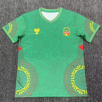 25/26 Mali Green Fans Soccer Jersey