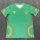 25/26 Mali Green Fans Soccer Jersey