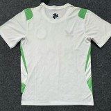 26/27 Ireland Away Fans Soccer Jersey
