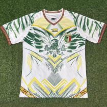 25/26 Mali Third Fans Soccer Jersey