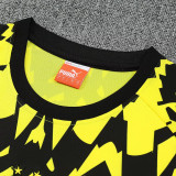 25/26  Dortmund Yellow & Black  Training Short Suit