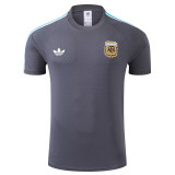 23/24  Argentina Grey Training Short Suit