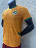 2024 Cote d'Ivoire Home Player Version Soccer Jersey