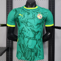 24/25 Senegal Away Player Version Soccer Jersey(Two star两星)