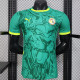 24/25 Senegal Away Player Version Soccer Jersey(Two star两星)