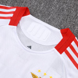 25/26 Benfica Third   Player Version Soccer Jersey& Black pants
