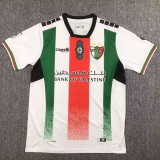 24/25 Palestino Deportivo Home Fans Soccer Jersey