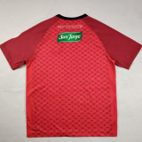 25/26 Palestino Deportivo Red Special Edition Fans Soccer Jersey