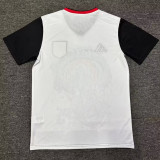 24/25 Japan White Warrior Edition Fans Soccer Jersey