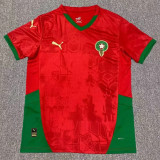 24/25 Cameroon Home Fans Soccer Jersey