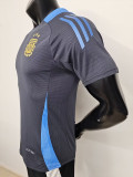 24/25 Argentina Grey Special Edition  Player Version Soccer Jersey