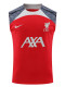 24/25 LIV Red Gray Shoulder  Tank top Training Shirts（灰肩）