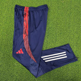 24/25 Lyon Royal Blue Training Long Pants (Have Pocket)