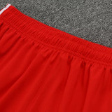 24/25 Bayern Red Training Short Suit