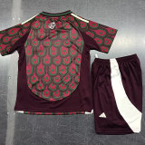 24/25 Mexico Home Kids Soccer Jersey