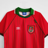 1994/1996  Wales  Home Retro Soccer Jersey