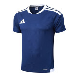 25/26 AD Royal Blue Player Version Training Short Suit#D2506