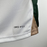 23/24 CELTICS BROWN #7 White City Edition Home Top Quality Hot Pressing NBA Jersey