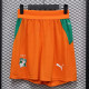 26/27 Cote d'Ivoire Yellow Player Version Shorts Pants