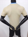 24/25 Argentina khaki  Special Edition  Player Version Soccer Jersey
