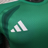 25/26 Mexico Goalkeeper Green Player Version Soccer Jersey