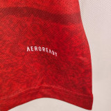 2020 Spain Home Retro Soccer Jersey