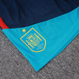 26/27 Spain Royal Blue Player Version Shorts Pants#D2603