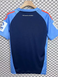 2025 Hamburger Special Edition Blue Fans Soccer Jersey左右带章